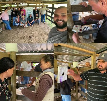 Pecuaristas elogiam capacitação sobre Mastite promovida pela Secretaria de Agricultura de Castilho