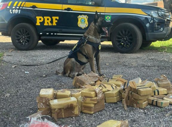 PRF apreende quase 100 quilos de entorpecentes em quatro ocorrências em Mato Grosso