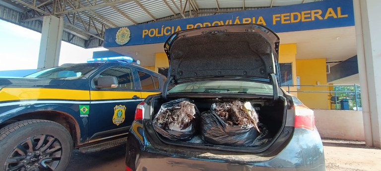 PRF apreende 70 Kg de cabelos humanos em Miranda (MS)