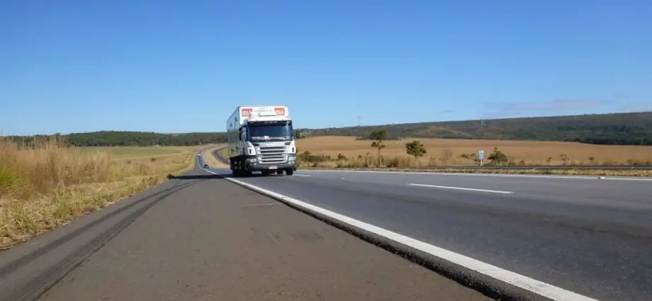 Consórcio K&G Rota da Celulose vence leilão de rodovia em MS