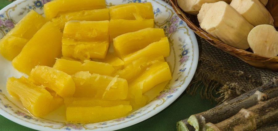 Mandioca no Cerrado: inovação que alimenta e gera renda