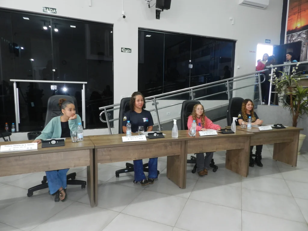 vereador mirim castilho 2025 40 1