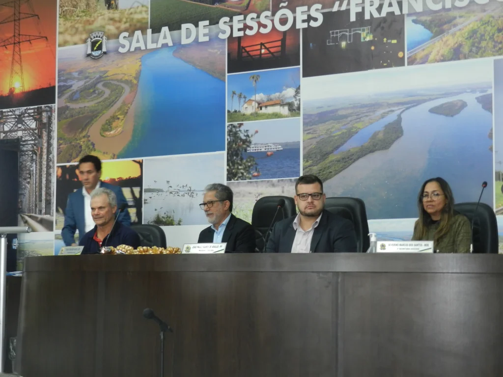 vereador mirim castilho 2025 9 2